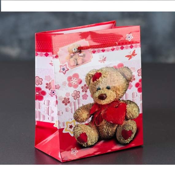 Пакет подарочный «Медвежонок Тедди», 12 х 15 х 5 см, 3821288