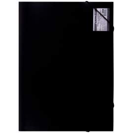 Папка 13 отделений Berlingo "Standard", А4, 700мкм, на резинке, черная,ANp_04111