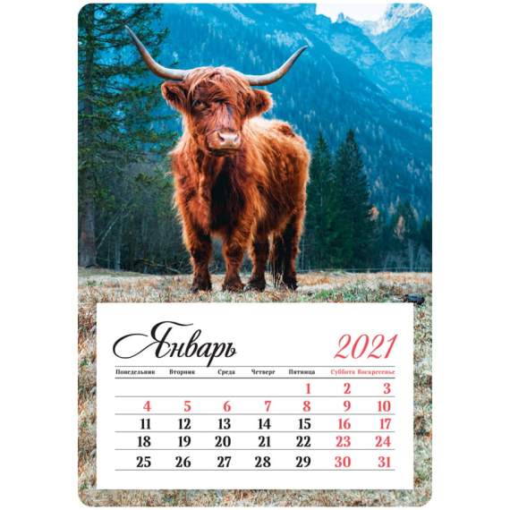 Календарь 2021 отрывной на магните 95*135мм, склейка, OfficeSpace 