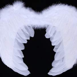 Крылья ангела белые перо+пух (38х40)(50-66,75-210)