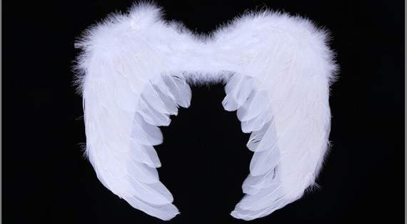 Крылья ангела белые перо+пух (38х40)(50-66,75-210)