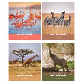 Тетрадь 96л., А5, клетка ArtSpace "Животные. Nature of Africa", ЭКОНОМ,Т96кЭ_36448