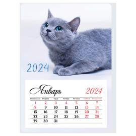 Календарь 2024 отрывной на магните 95*135мм склейка OfficeSpace "Mono - Котик", 355836