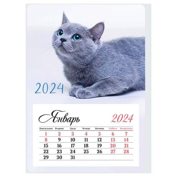 Календарь 2024 отрывной на магните 95*135мм склейка OfficeSpace 