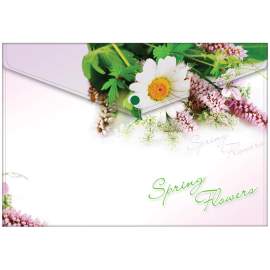 Папка-конверт на кнопке, А4 Berlingo "Spring Flowers", 180мкм, рисунок,AKk_04031