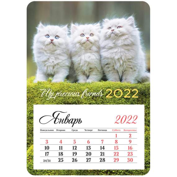 Календарь 2022 отрывной на магните 95*135мм склейка OfficeSpace 